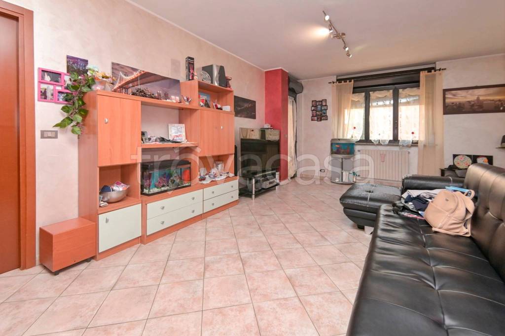 immagine annuncio 7 di 15