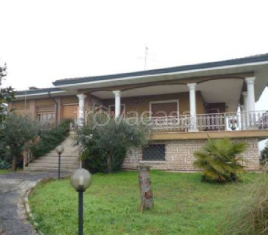 immagine annuncio 2 di 14