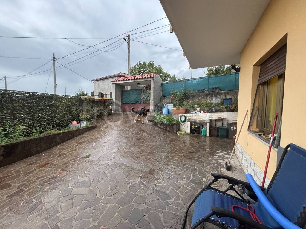 immagine annuncio 11 di 13