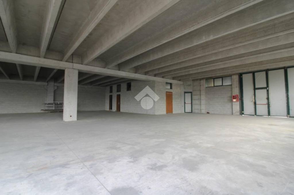 immagine annuncio 5 di 12