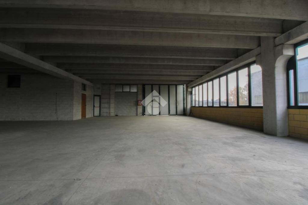 immagine annuncio 6 di 12