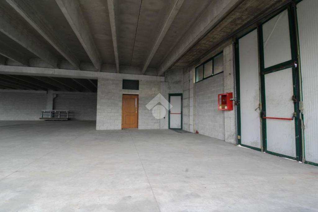 immagine annuncio 8 di 12