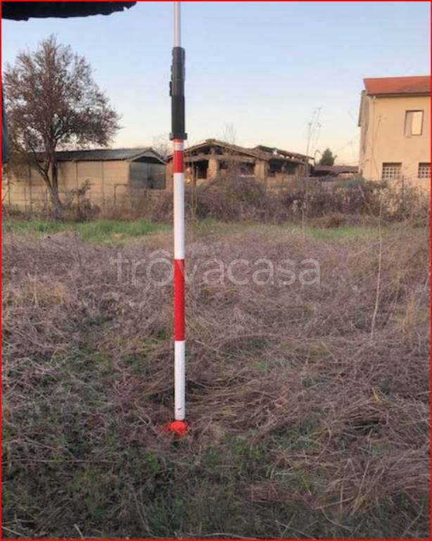 immagine annuncio 3 di 12