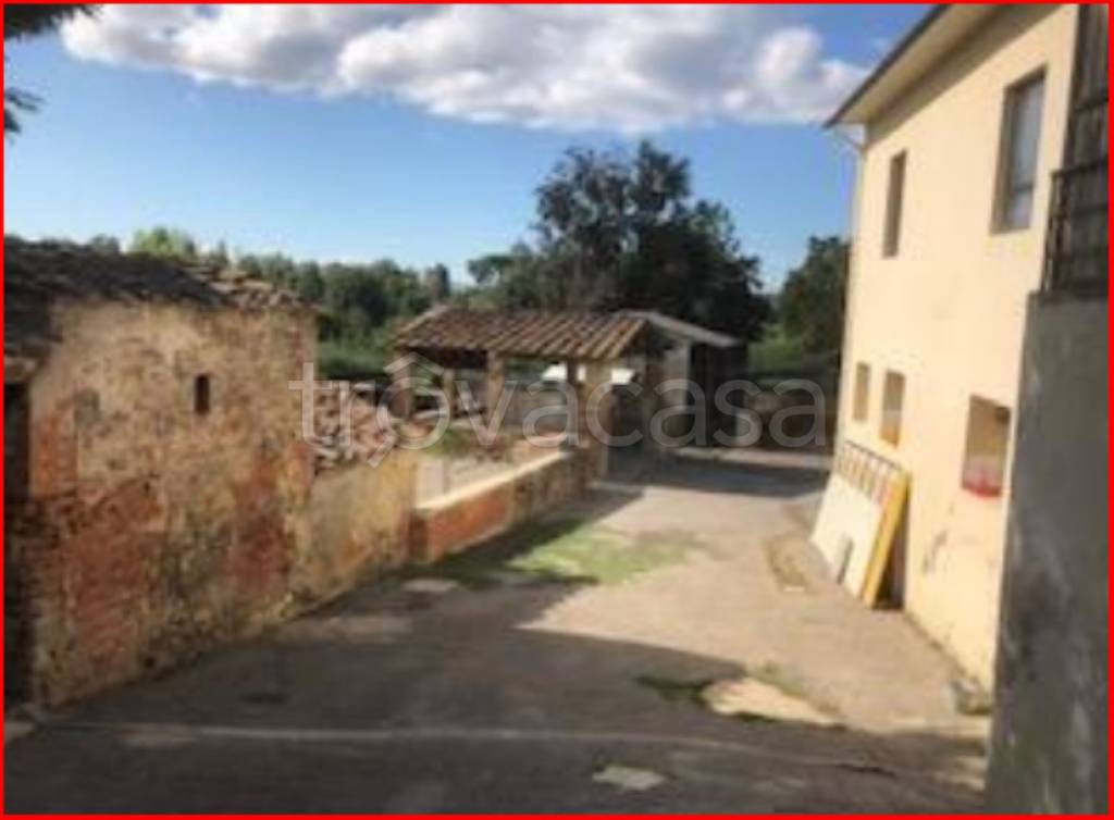 immagine annuncio 4 di 12