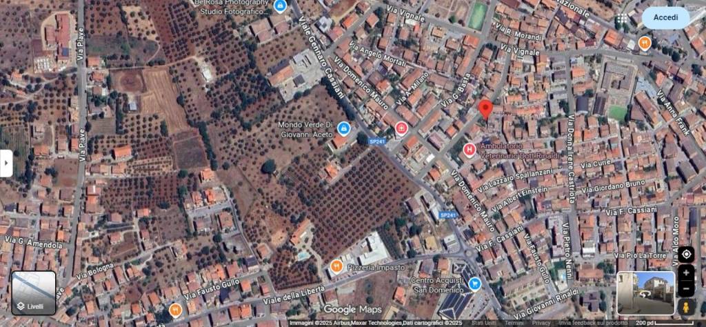 immagine annuncio 10 di 13