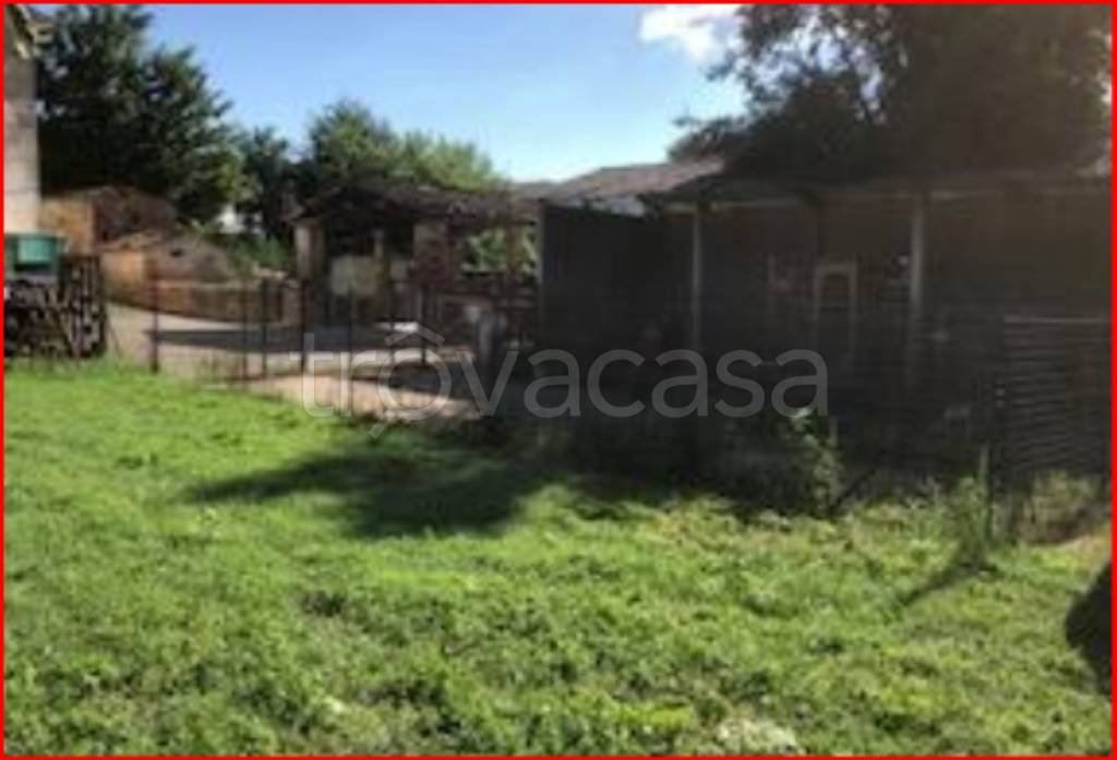 immagine annuncio 6 di 12