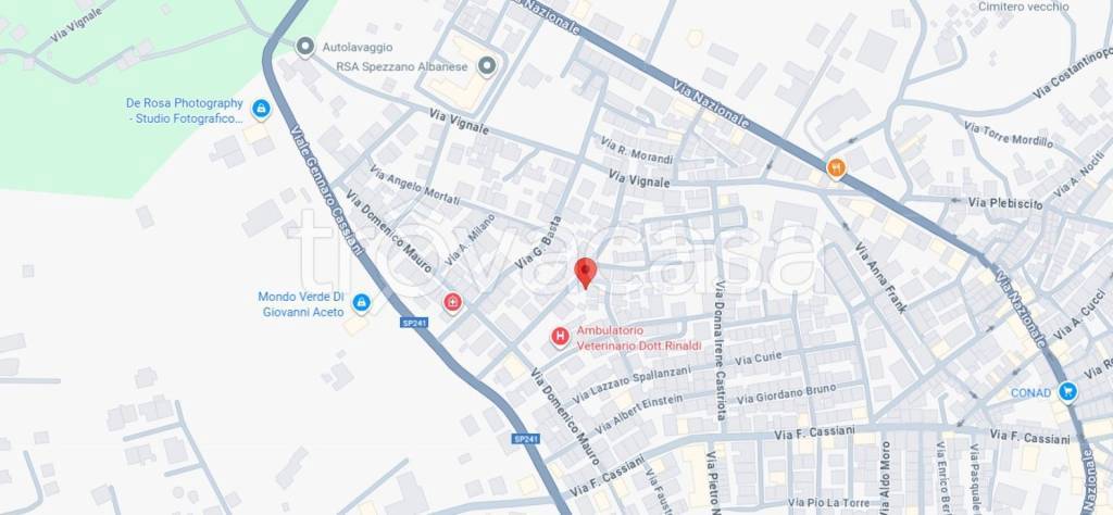 immagine annuncio 11 di 13