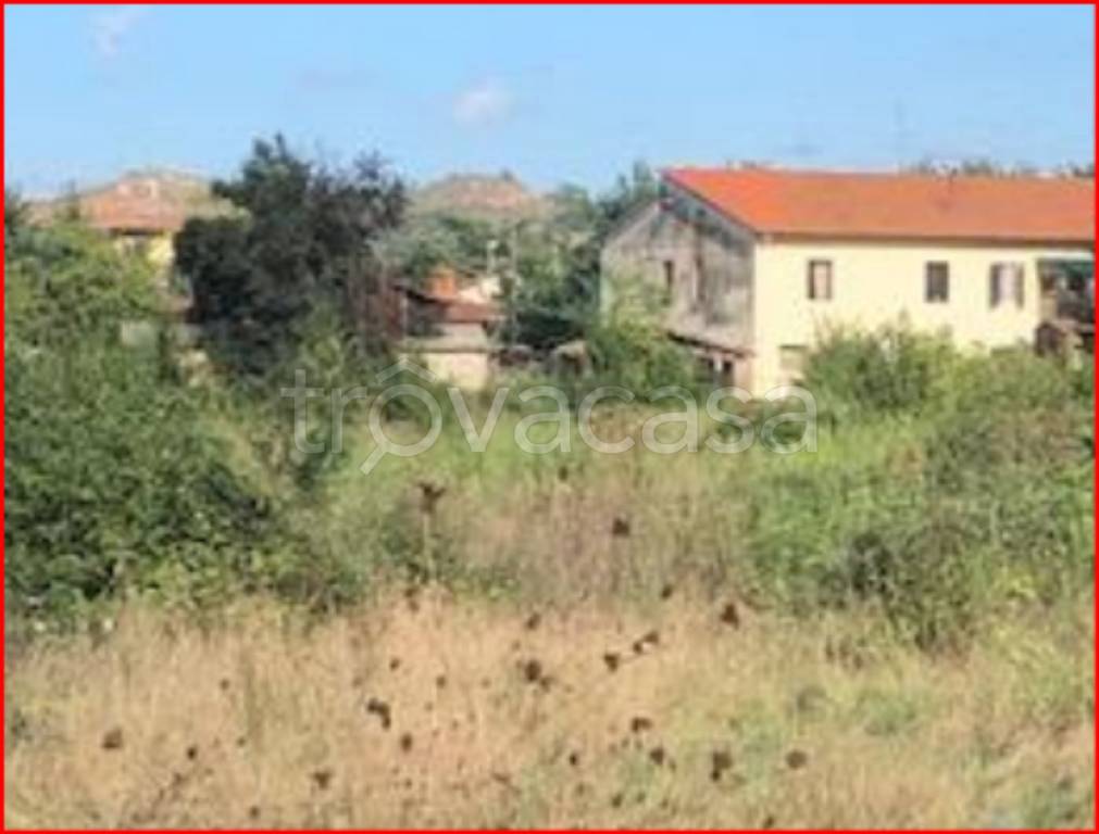 immagine annuncio 8 di 12