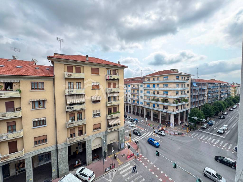 immagine annuncio 6 di 14