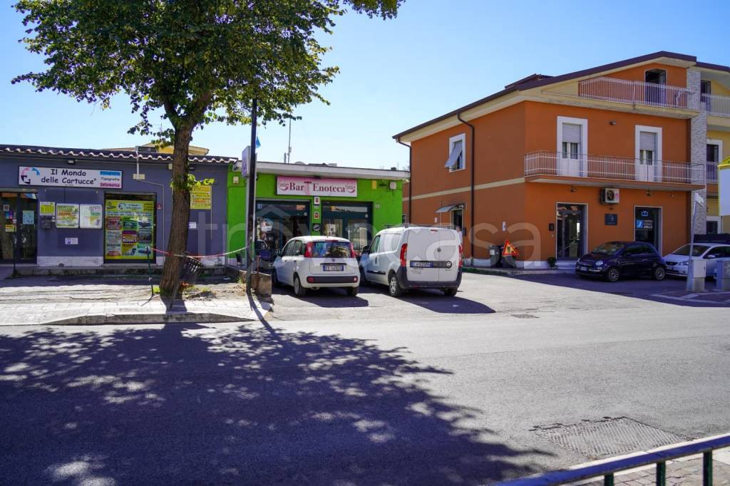 immagine annuncio 12 di 13