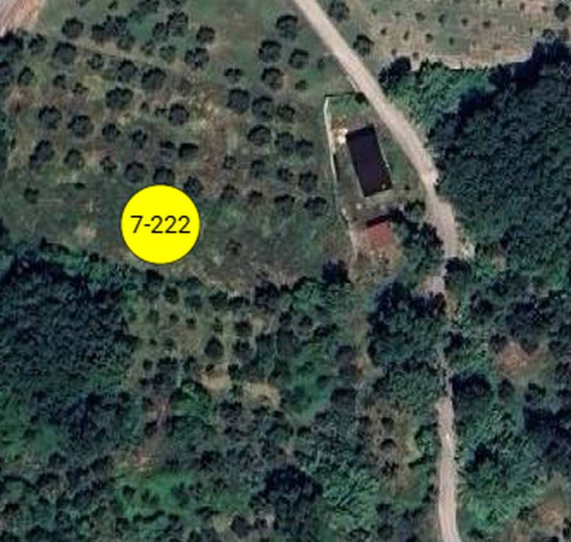 immagine annuncio 9 di 11