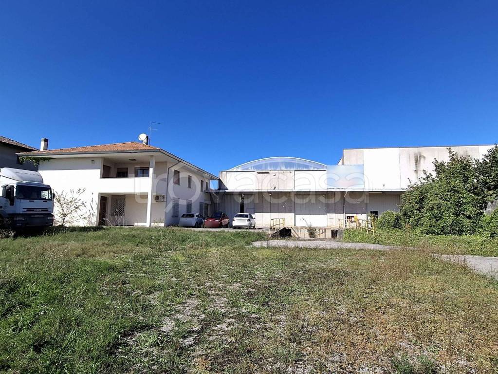 immagine annuncio 13 di 14