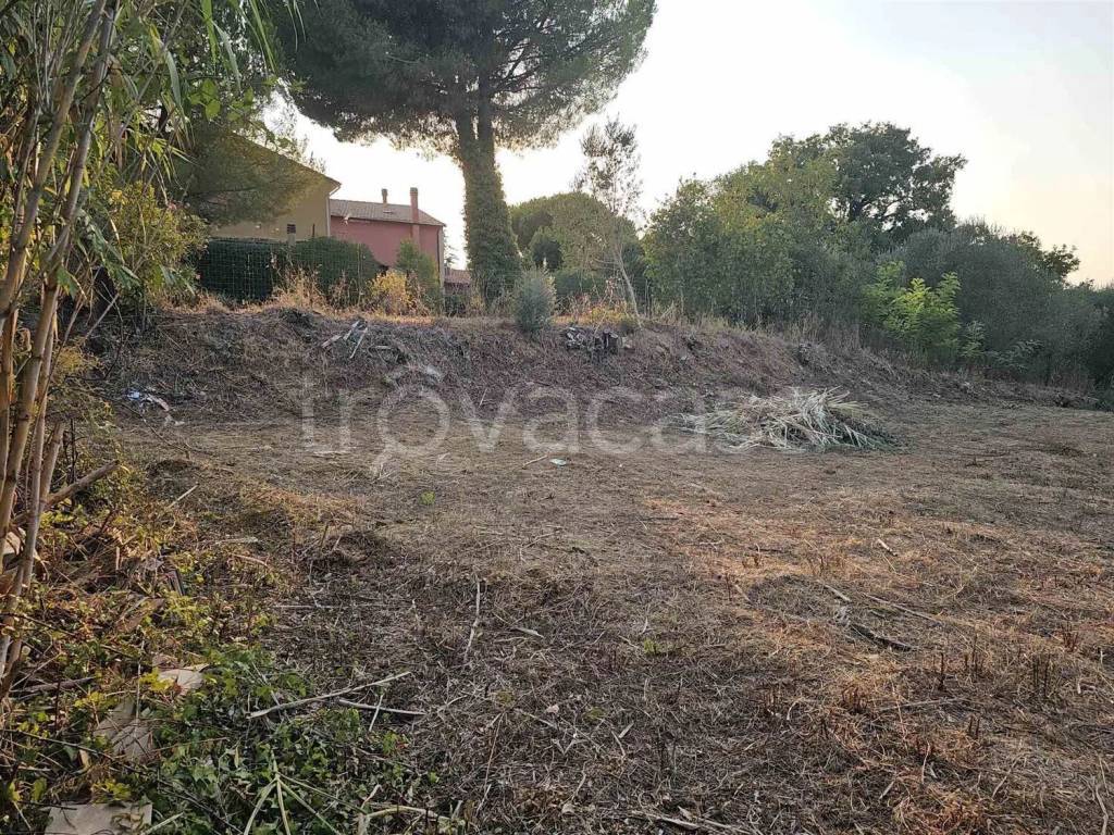 immagine annuncio 6 di 13