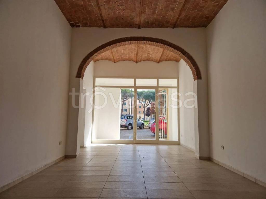 immagine annuncio 7 di 14