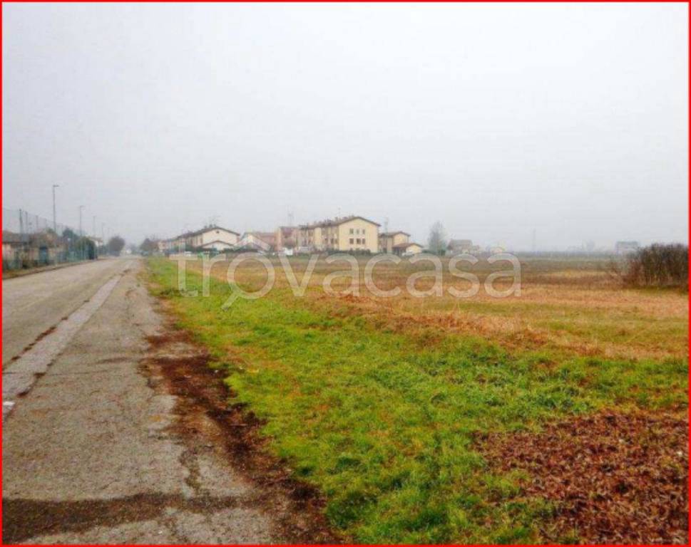 immagine annuncio 4 di 12