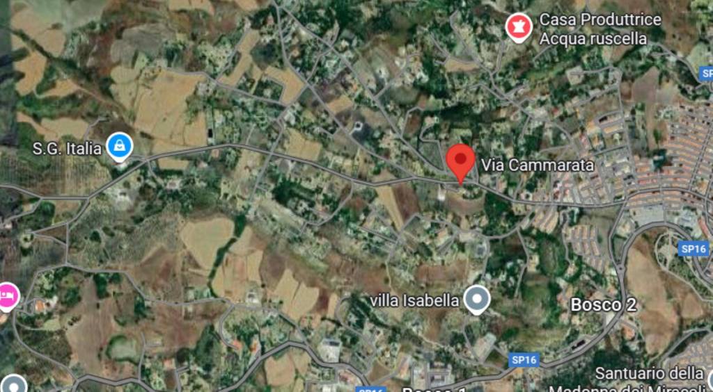 immagine annuncio 9 di 12