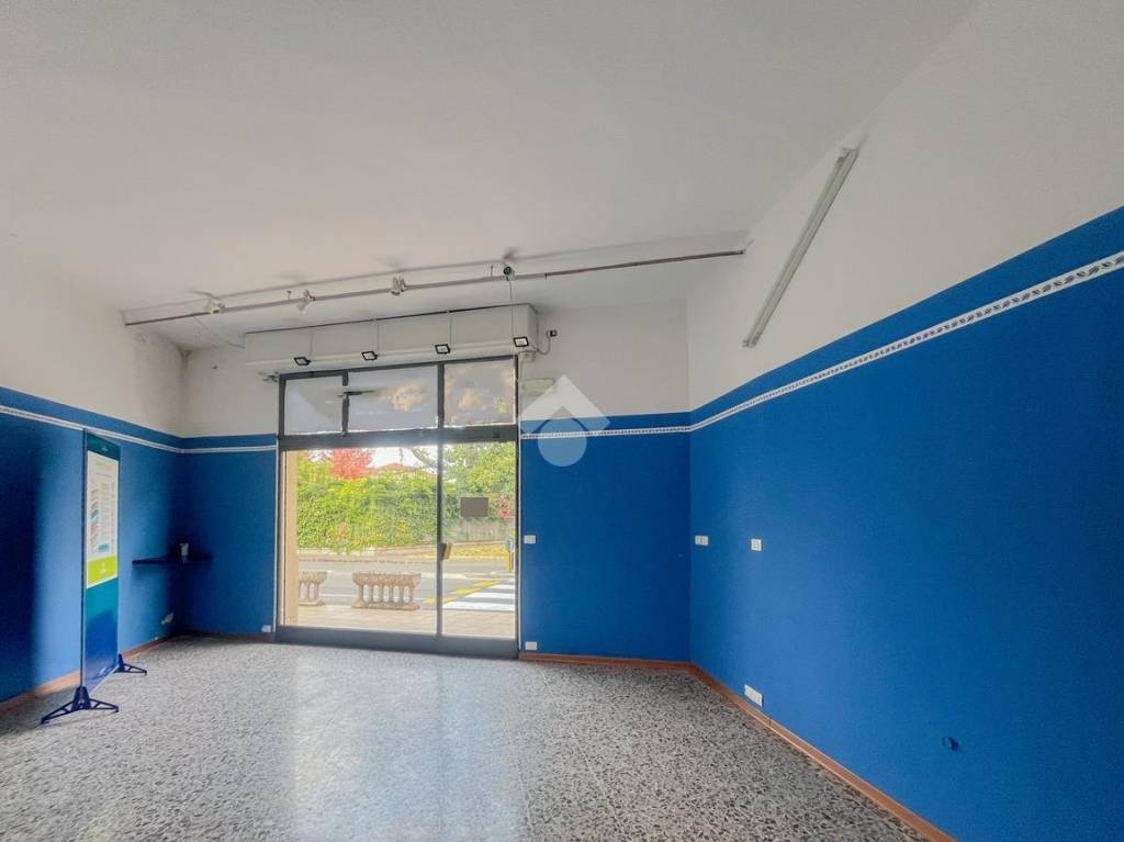 immagine annuncio 7 di 14