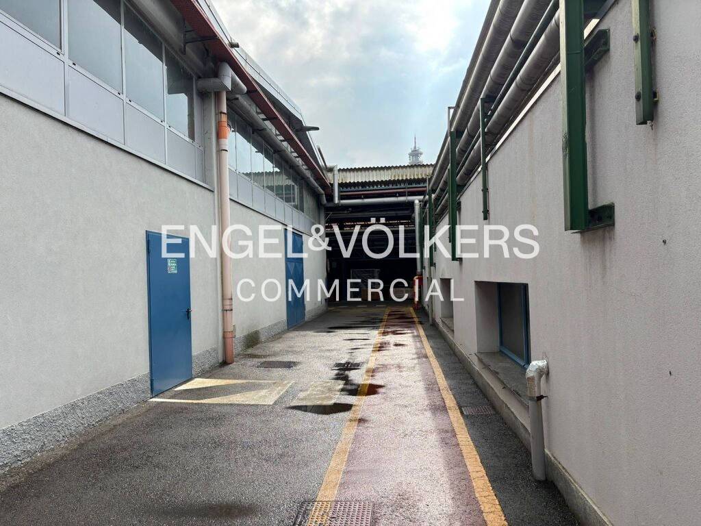 immagine annuncio 12 di 15