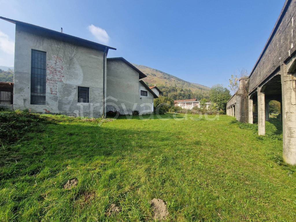 immagine annuncio 5 di 6