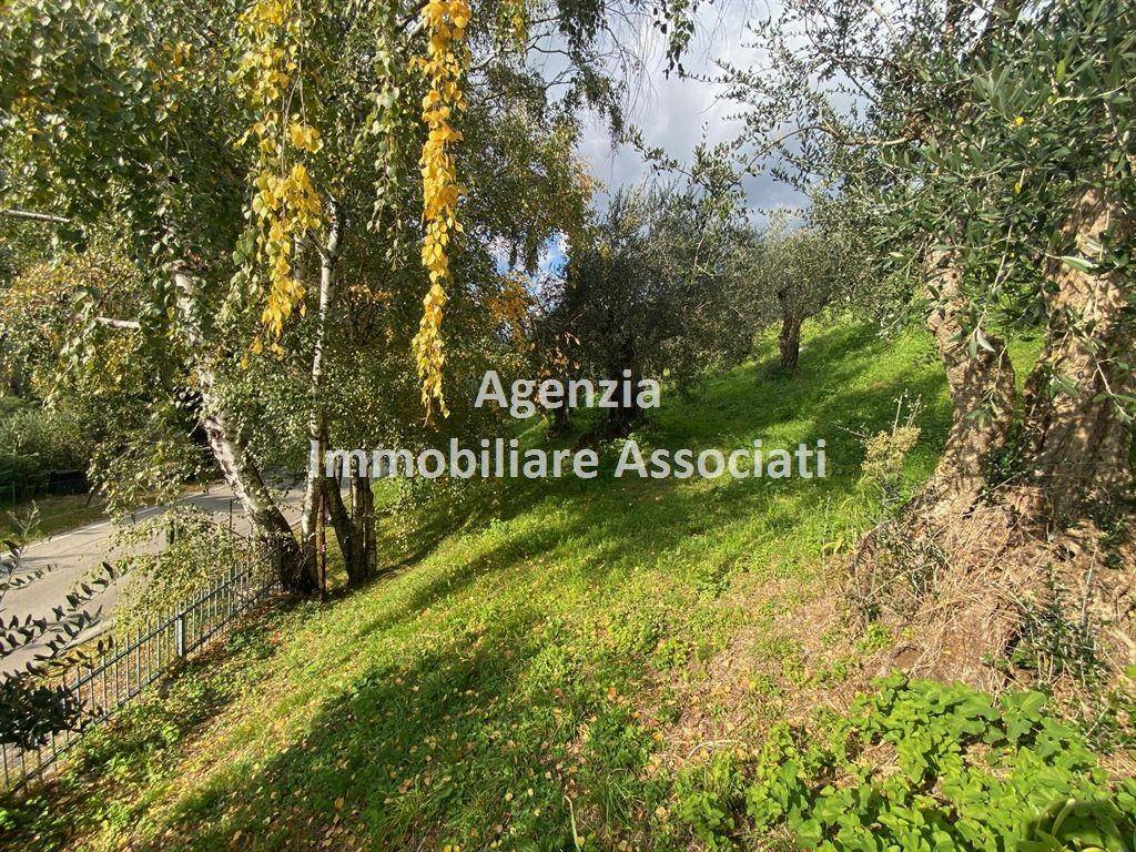 immagine annuncio 3 di 11