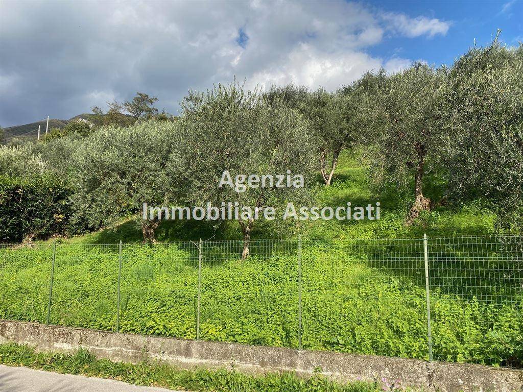 immagine annuncio 5 di 11