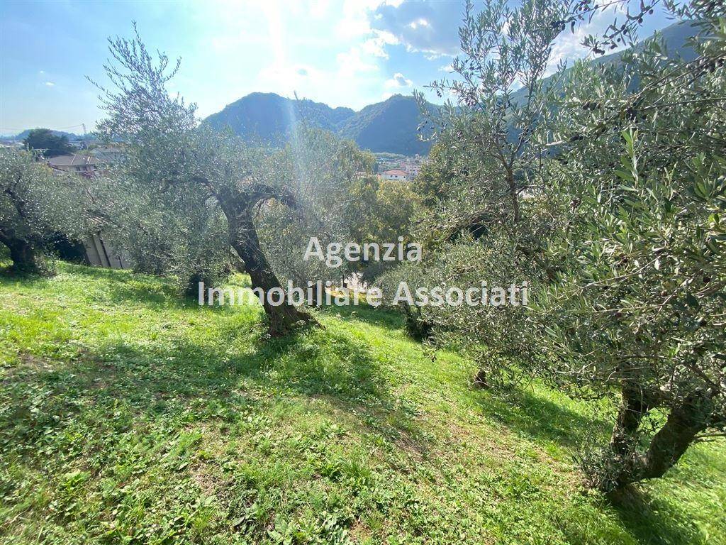 immagine annuncio 6 di 11