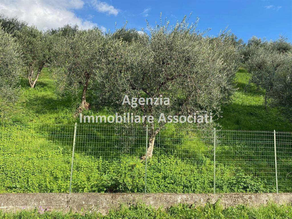 immagine annuncio 7 di 11