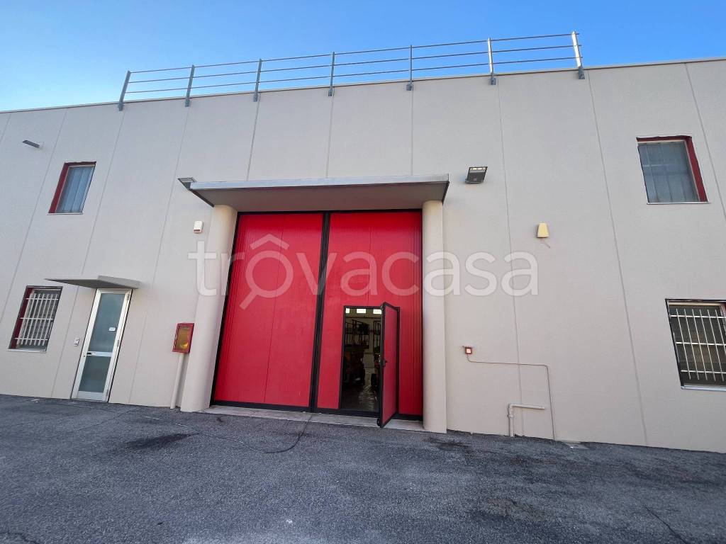 immagine annuncio 5 di 13