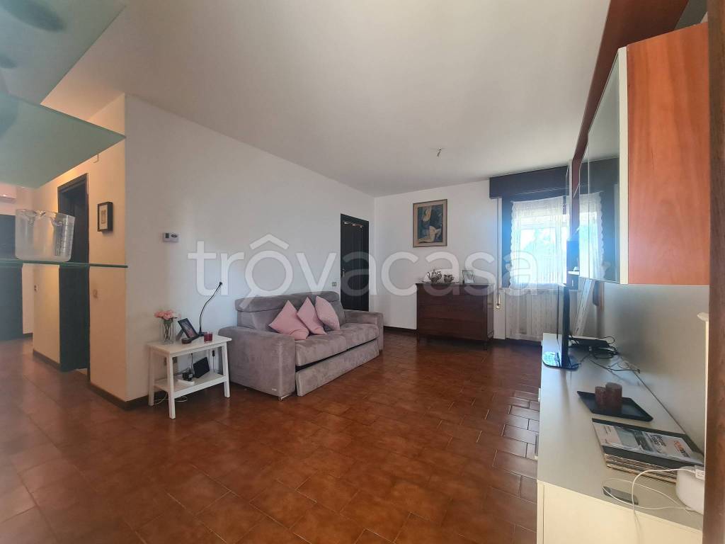 immagine annuncio 4 di 14