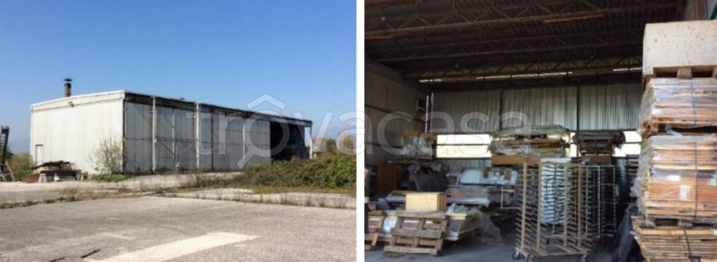 immagine annuncio 13 di 14