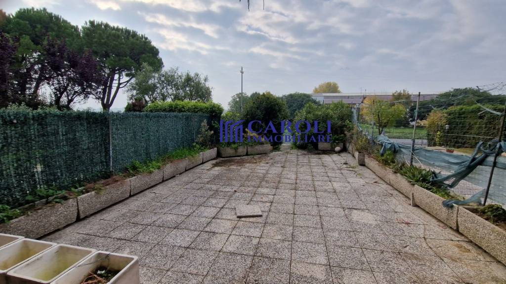 immagine annuncio 1 di 14