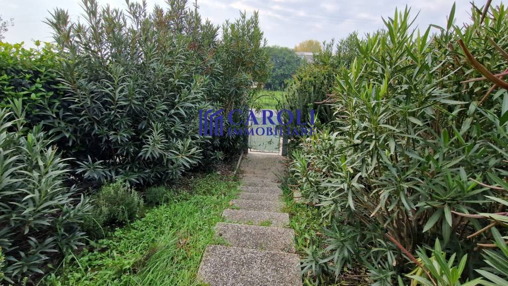 immagine annuncio 2 di 14