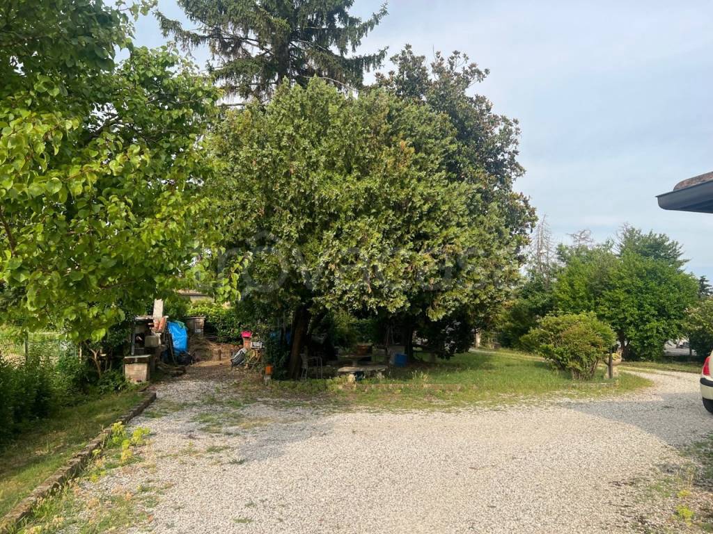 immagine annuncio 7 di 8