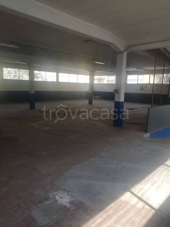 immagine annuncio 11 di 13