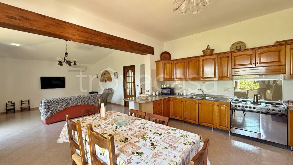 immagine annuncio 6 di 14