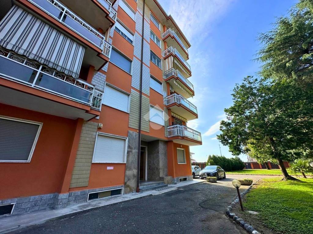 immagine annuncio 12 di 14