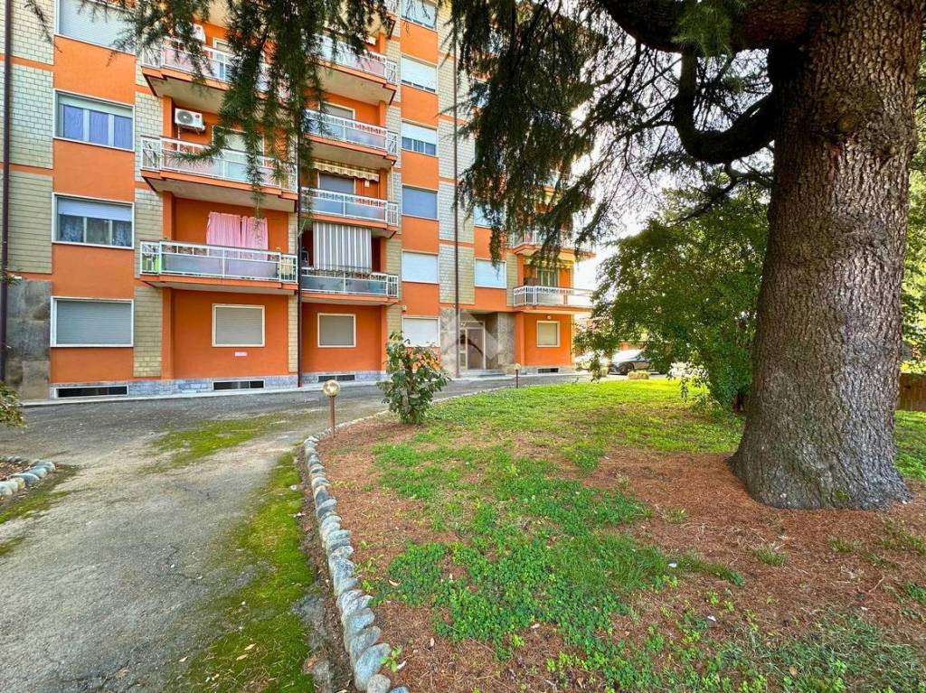 immagine annuncio 13 di 14