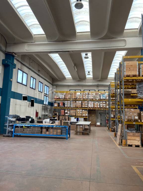 immagine annuncio 7 di 15