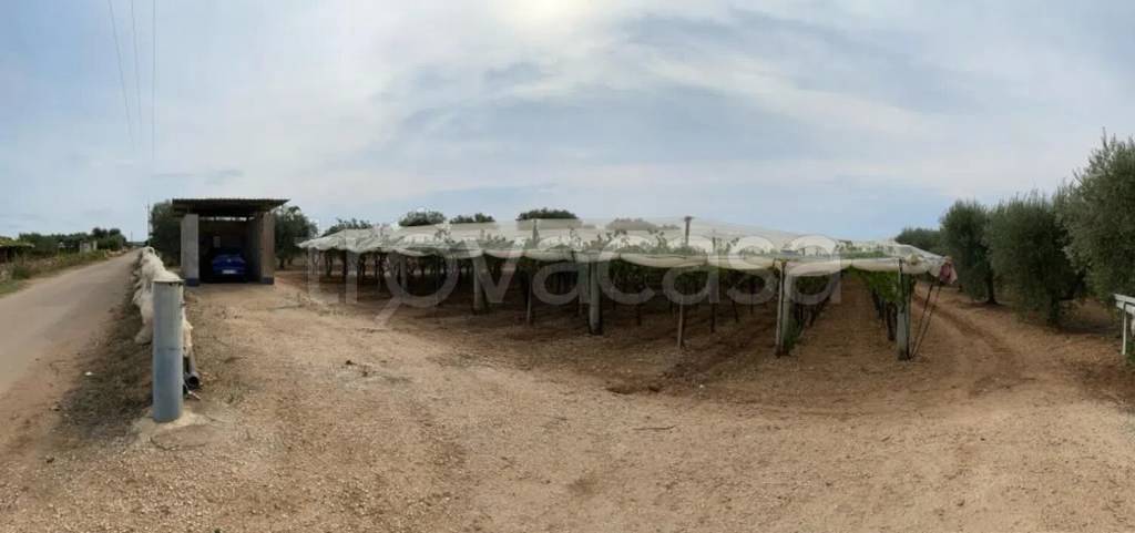 immagine annuncio 2 di 8