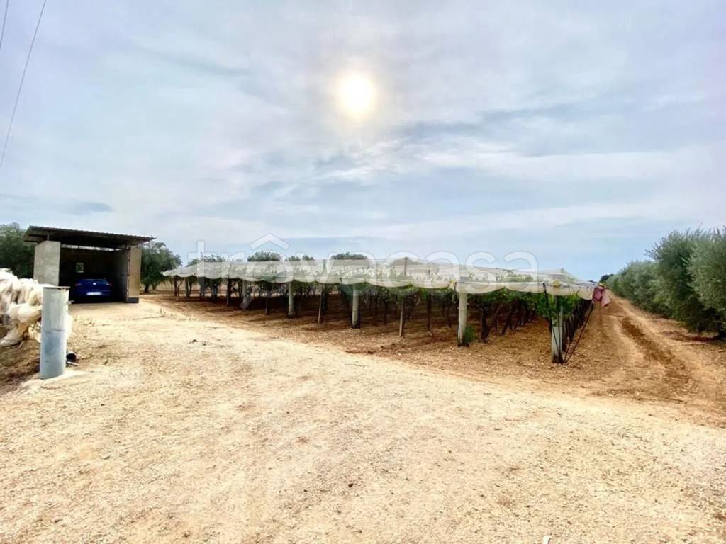 immagine annuncio 3 di 8