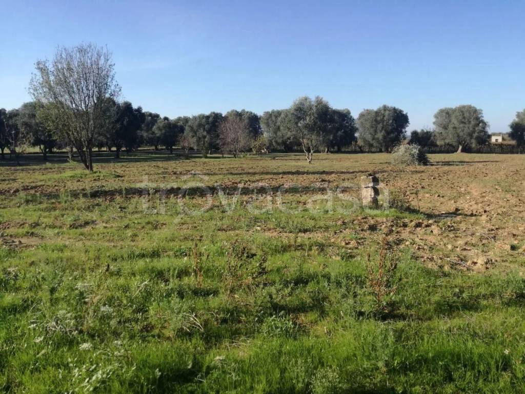 immagine annuncio 1 di 7