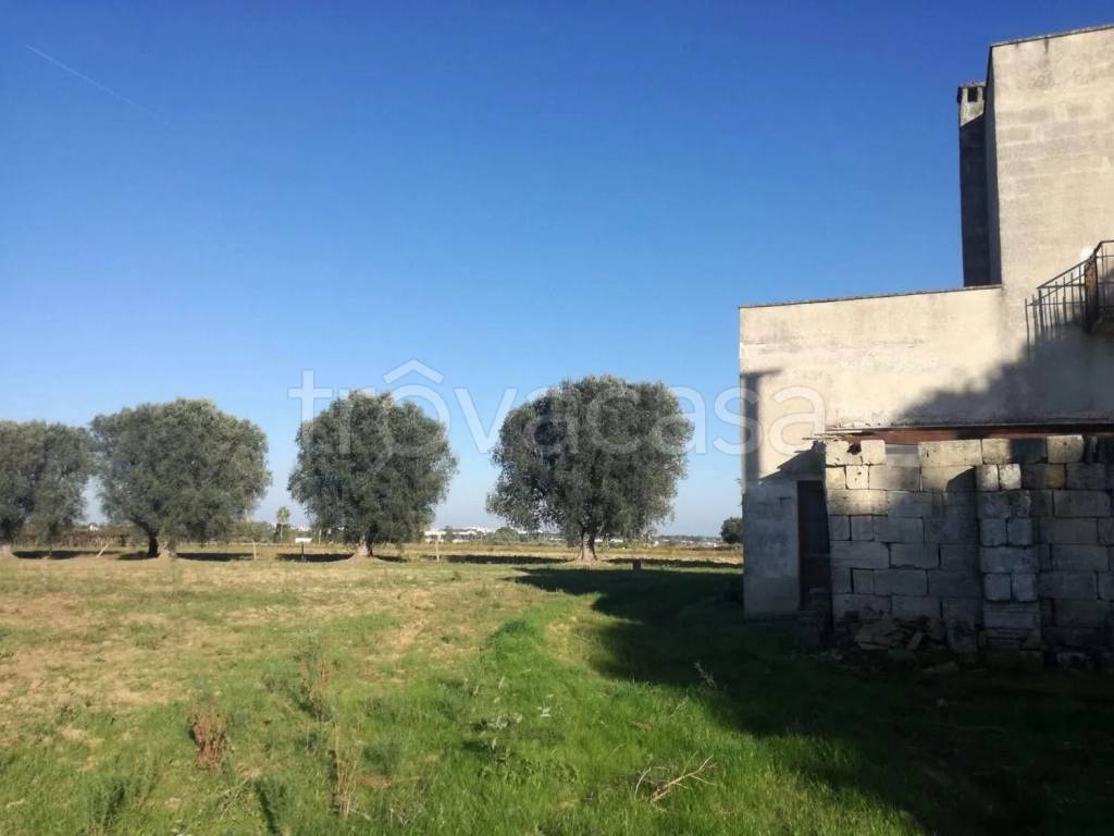 immagine annuncio 2 di 7