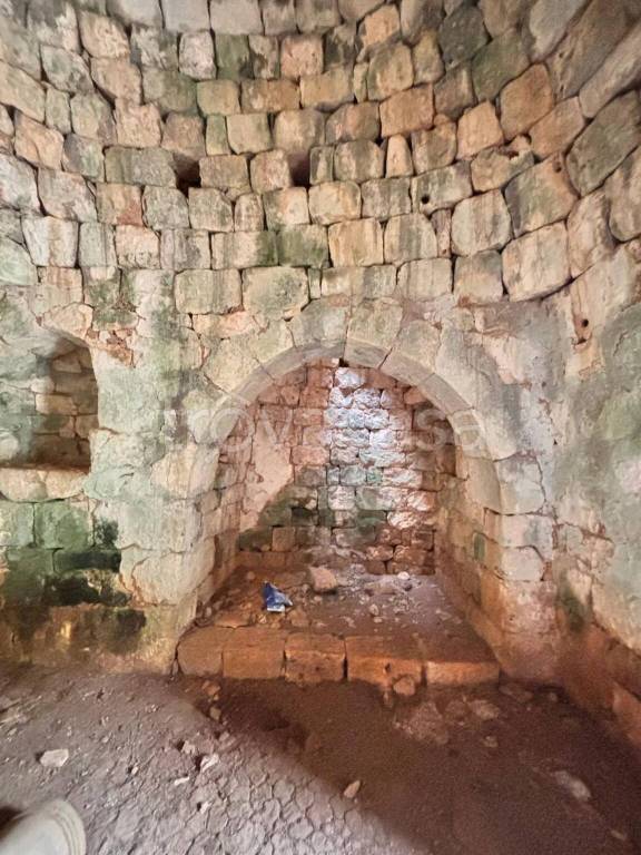 immagine annuncio 5 di 14