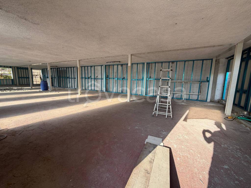 immagine annuncio 5 di 8