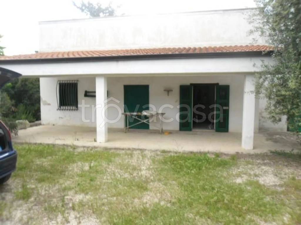 immagine annuncio 2 di 12