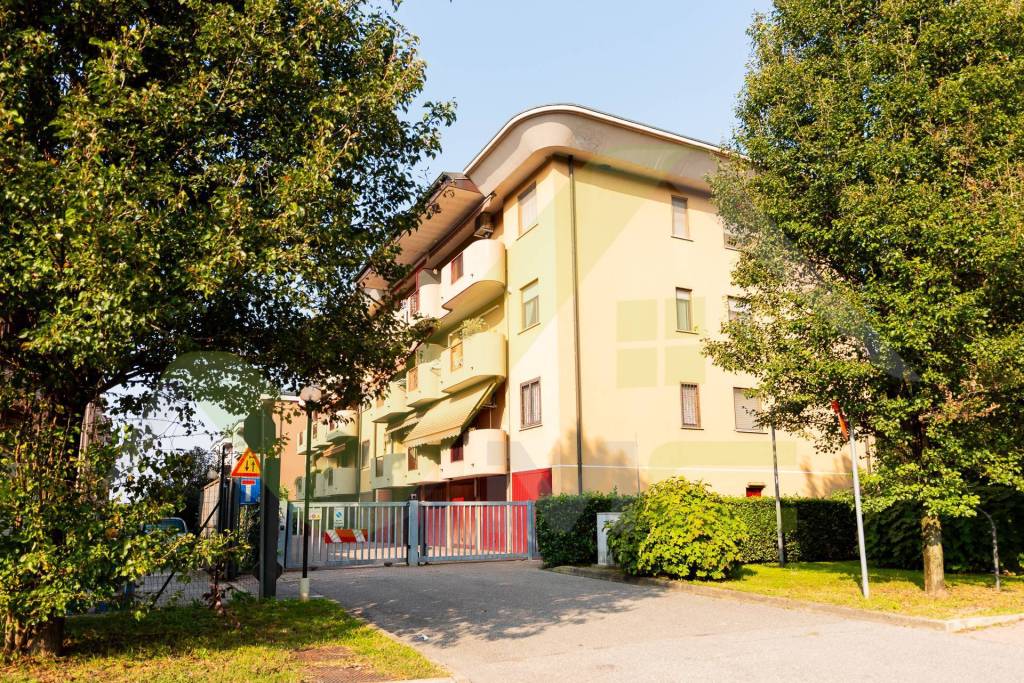 immagine annuncio 13 di 14