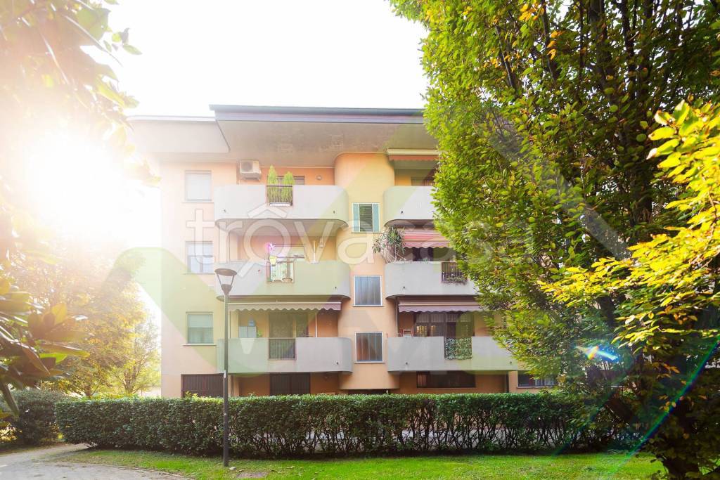 immagine annuncio 12 di 14