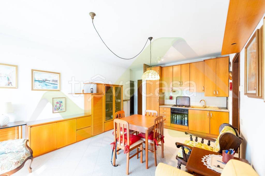 immagine annuncio 7 di 14