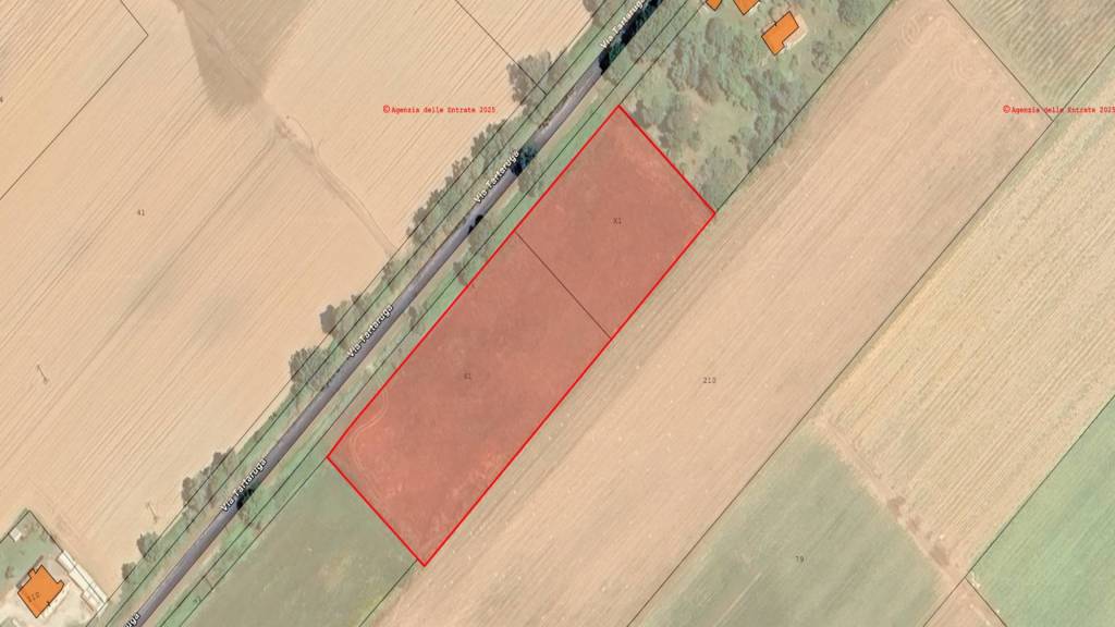 immagine annuncio 3 di 6