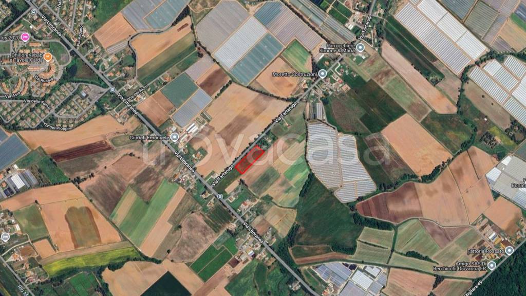 immagine annuncio 4 di 6